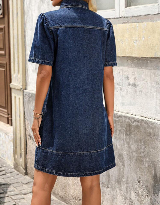 Embroidered Denim Dress
